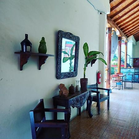 Hostal Don Gato 格拉纳达 外观 照片