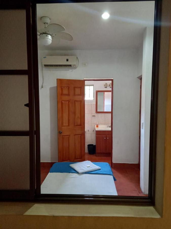 Hostal Don Gato 格拉纳达 外观 照片