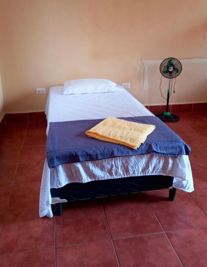 Hostal Don Gato 格拉纳达 外观 照片