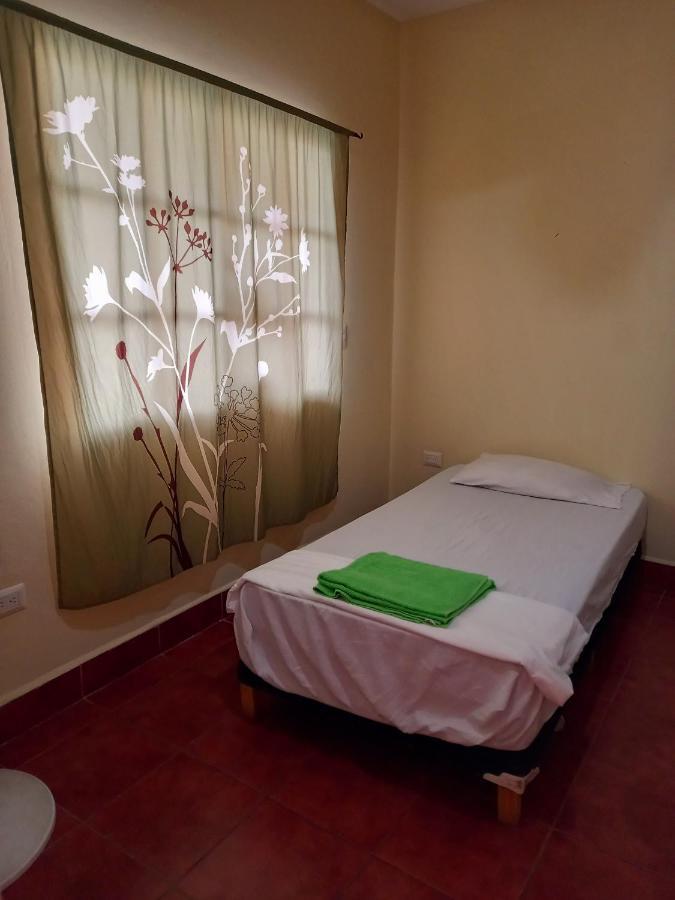 Hostal Don Gato 格拉纳达 外观 照片