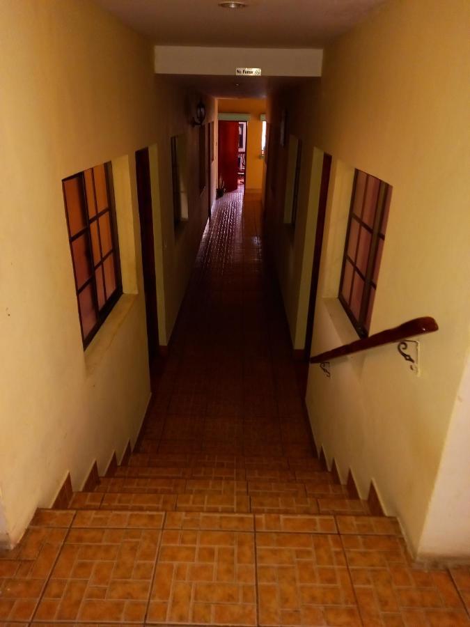 Hostal Don Gato 格拉纳达 外观 照片